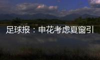 足球报：申花考虑夏窗引进外援前锋�
，米内罗已基本赛季报销