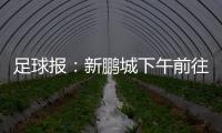 足球报	：新鹏城下午前往武汉和三镇热身	
，新帅穆尼奥斯随队前往