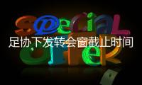 足协下发转会窗截止时间延期调查表征求意见