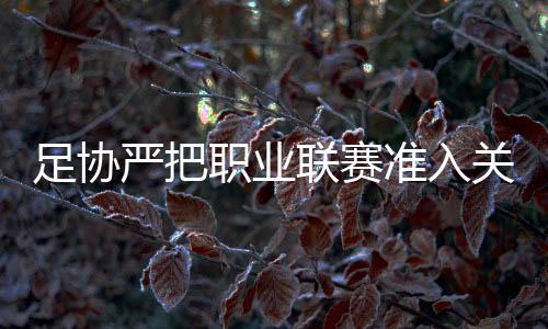 足协职业准入按照工作程序