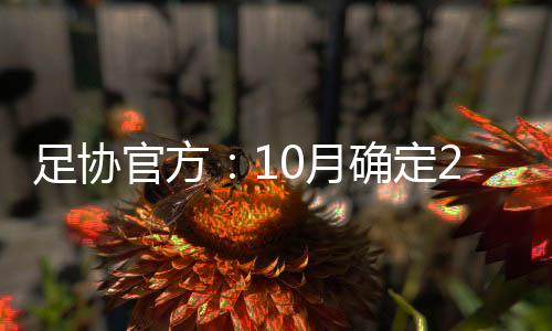申办我们完全有理由相信