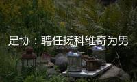 足协
：聘任扬科维奇为男足国家队主教练