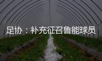 足协	：补充征召鲁能球员刘洋入选国足集训名单
