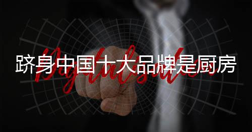 中国之路传播才是大品目的