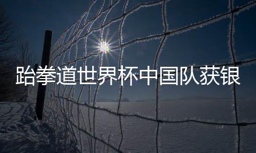 跆拳女各1名替补组成