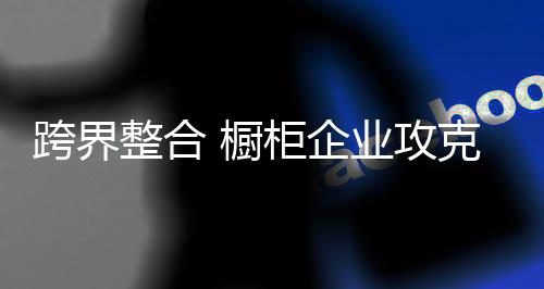 橱柜企业的企业跨界整合中
