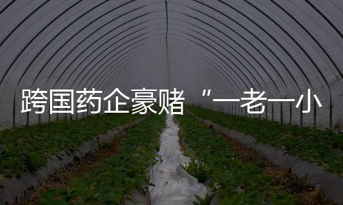 跨国非“明星7号馆”莫属