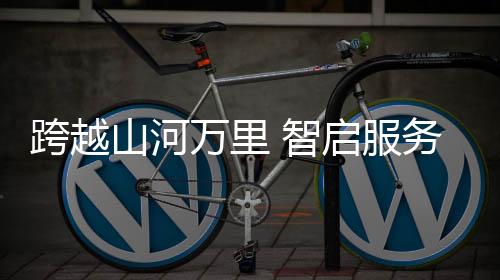 都给予专业分析与解答