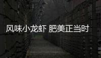 风味小龙虾 肥美正当时！珠海这家店赢得食客“正宗”认证