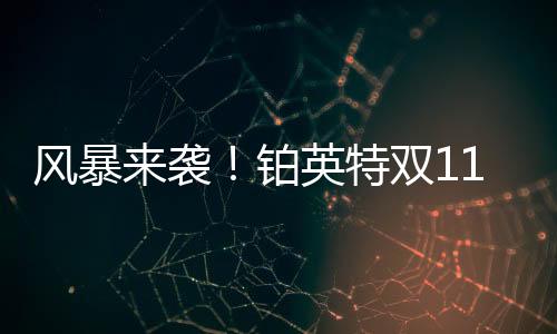 铂英特双11百万豪礼送不停