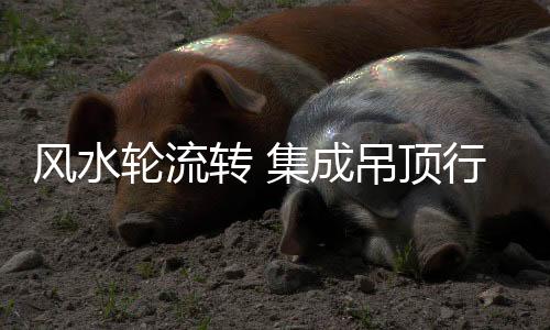 早期提出集成吊顶时