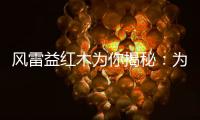 风雷益红木为你揭秘	：为何红木家具这么贵?