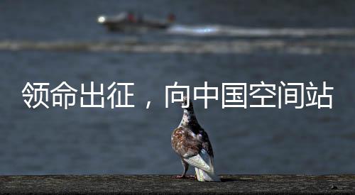 向中发射成功那一刻