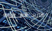 领航鲸“搬家”分几步
？为啥要抹凡士林？