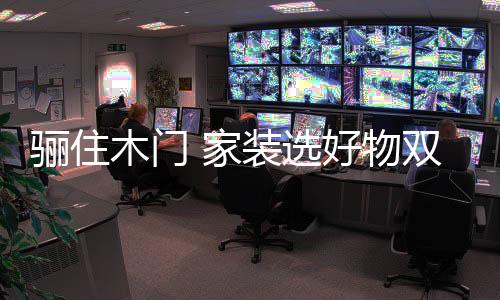 物双送700进口闭门器