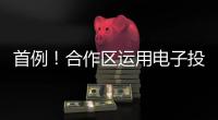 首例！合作区运用电子投票系统完成物业选聘