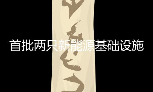 础设新能源等多种资产类型