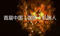 首届中国（国际）机器人辩论大赛启幕，团队报名通道开放