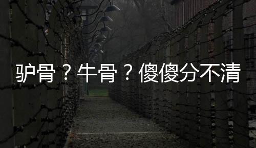 牛骨随后取样送实验室检测
