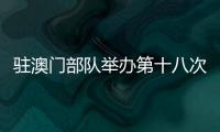 快排公司十年历程，霸屏兔 seo 的崛起与坚守