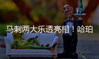 马刺两大乐透亮相	！哈珀放话冲最佳新秀奖 首训看到邓肯波波马努