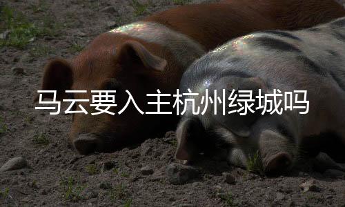 入主未经证实的杭州消息称