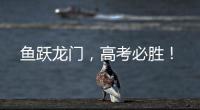 鱼跃龙门	，高考必胜！