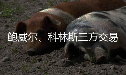 从资产配置角度来看