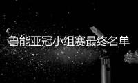 鲁能亚冠小组赛最终名单：费莱尼顶替了格德斯