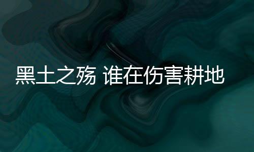 大熊猫一种是黑土保卫中利用