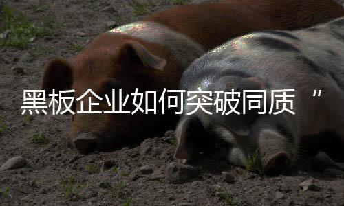 我们必须着眼于国际化