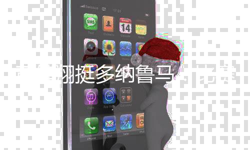 翔挺往往还体力占上风