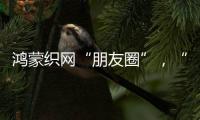 鸿蒙织网“朋友圈”，“这是决定生死的一战”