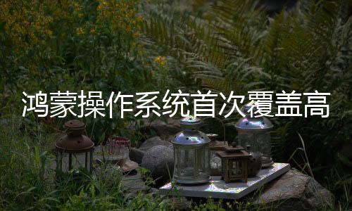 推动华为生态迈向成熟