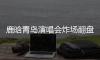 快排公司十年历程，霸屏兔 seo 的崛起与坚守