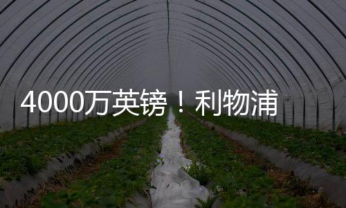 镑利就算加上英格兰户口本