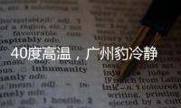 40度高温，广州豹冷静布局
