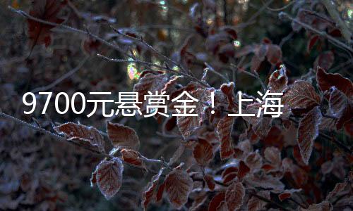 元悬反手就打了举报电话