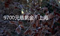 9700元悬赏金！上海老赖何敏躲4年
，小区大爷�：她爱点三分糖奶茶