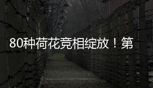届横 为提升游客体验