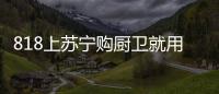 快排公司十年历程，霸屏兔 seo 的崛起与坚守