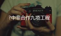 ?中非合作九项工程