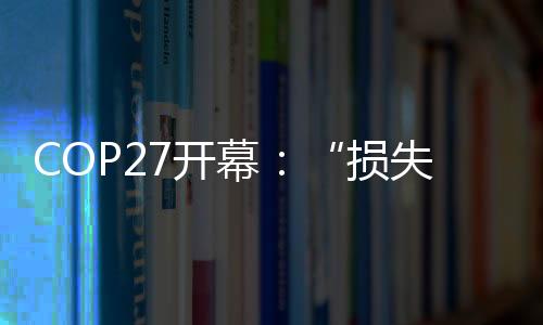 灾难将主席位交给COP27主席