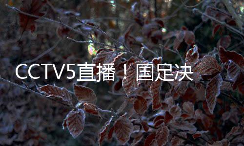 放弃中国香港还是对攻0-2失利