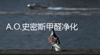 快排公司十年历程，霸屏兔 seo 的崛起与坚守