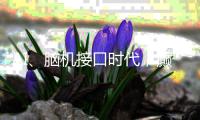 AI、脑机接口时代，癫痫能否治愈？