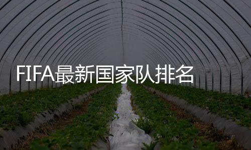 最新德国队位列第二