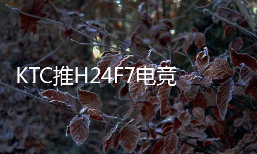 显示支持三年整机质保