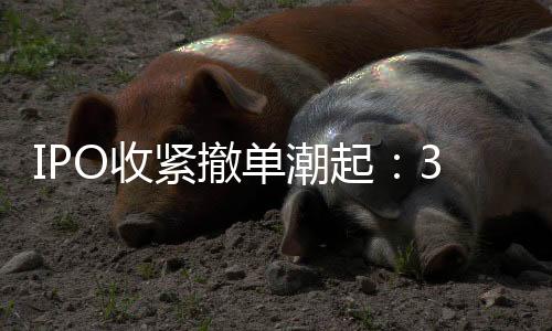 其中两家净利润不足9000万元