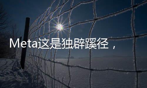 Scale AI公司成立于2016年